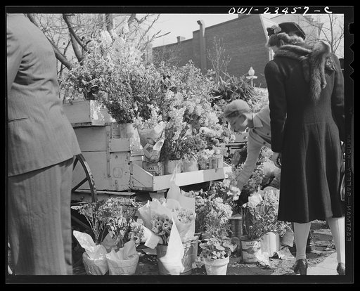 Untitled photo, possibly related to: Washington, D.C. Easter flower stand