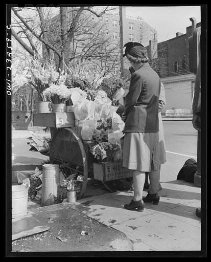Untitled photo, possibly related to: Washington, D.C. Easter flower stand