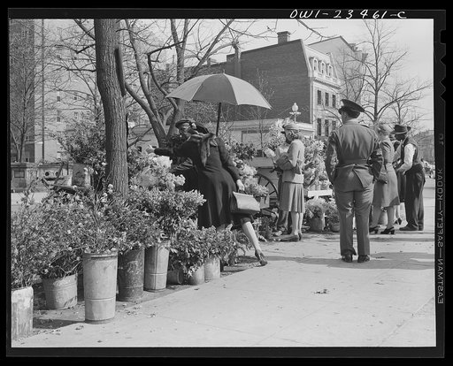 Washington, D.C. Easter flower stand