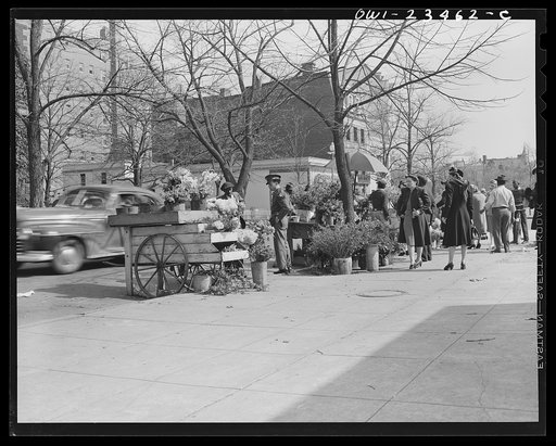 Untitled photo, possibly related to: Washington, D.C. Easter flower stand