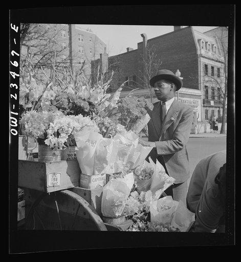Untitled photo, possibly related to: Washington, D.C. Easter flower stand
