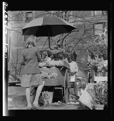 Washington, D.C. Easter flower stand