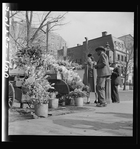 Untitled photo, possibly related to: Washington, D.C. Easter flower stand
