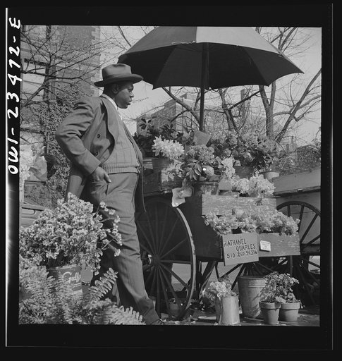 Washington, D.C. Easter flower stand