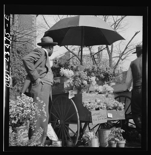 Untitled photo, possibly related to: Washington, D.C. Easter flower stand