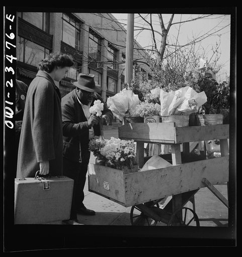 Untitled photo, possibly related to: Washington, D.C. Easter flower stand