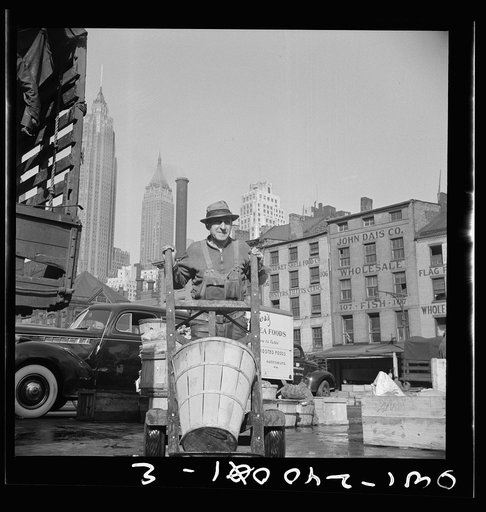 New York, New York. Stevedore who packs and loads crates of fish on the lower east side