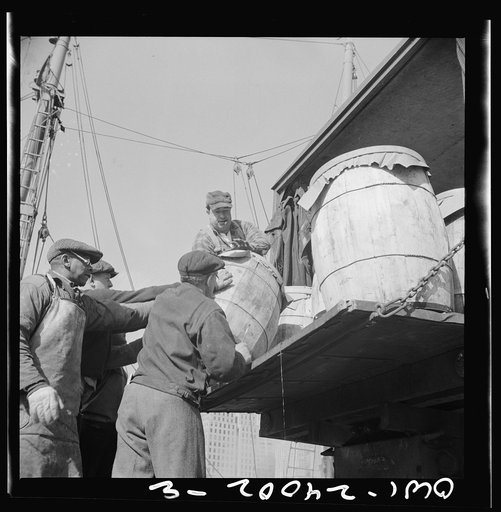 New York, New York. Dock worker at the Fulton fish market loading fish that have been caught in Gloucester. The fish are cleaned, washed in brine water and iced before being shipped to the retailer