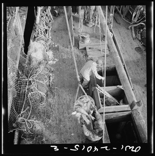 Untitled photo, possibly related to: New York, New York. Dock stevedores at the Fulton fish market sending up baskets of fish from the holds of the boats to the docks where it is bought, stored in barrels and packed in ice for delivery to wholesalers