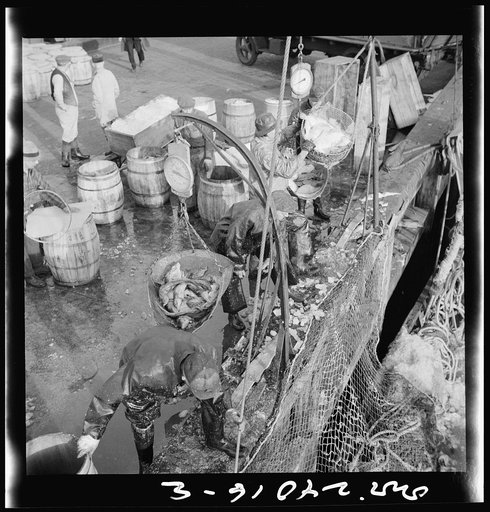 Untitled photo, possibly related to: New York, New York. Stevedores at the Fulton fish market unloading fish from boats caught off the New England coast