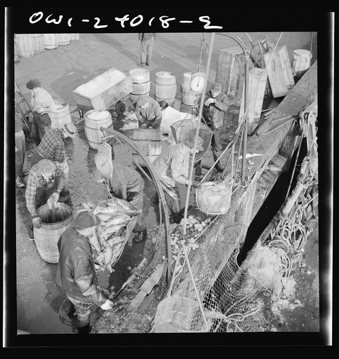 New York, New York. Stevedores at the Fulton fish market unloading fish from boats caught off the New England coast