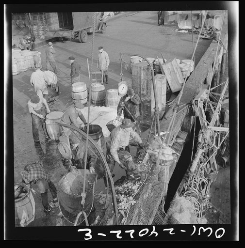 Untitled photo, possibly related to: New York, New York. Dock stevedores at the Fulton fish market sending up baskets of fish from the holds of the boats to the docks where it is bought, stored in barrels and packed in ice for delivery to wholesalers