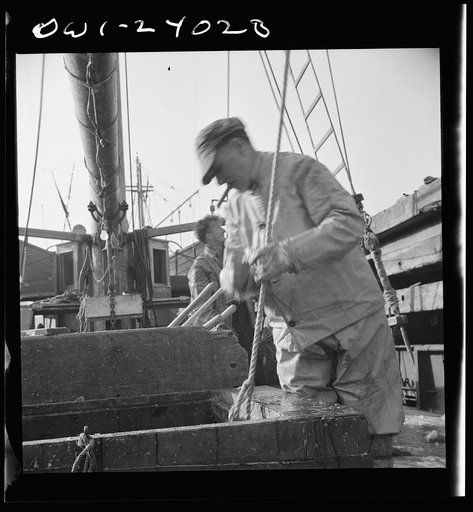 Untitled photo, possibly related to: New York, New York. Dock stevedores at the Fulton fish market sending up baskets of fish from the holds of the boats to the docks where it is bought, stored in barrels and packed in ice for delivery to wholesalers