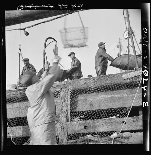 Untitled photo, possibly related to: New York, New York. Dock stevedores at the Fulton fish market sending up baskets of fish from the holds of the boats to the docks where it is bought, stored in barrels and packed in ice for delivery to wholesalers