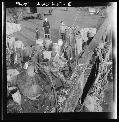 New York, New York. Fulton fish market stevedore