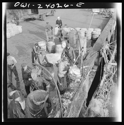 Untitled photo, possibly related to: New York, New York. Dock stevedores at the Fulton fish market sending up baskets of fish from the holds of the boats to the docks where it is bought, stored in barrels and packed in ice for delivery to wholesalers