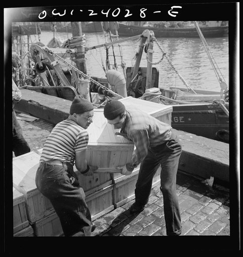 New York, New York. Loaders placing fish that has been taken from boats, boxed, and iced, aboard trailer trucks to be taken to various distribution points