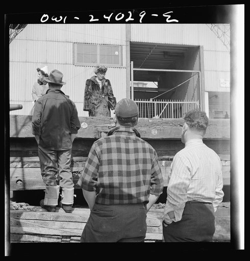 New York, New York. Fishermen's families often make trips down from New England towns to be in New York when the ships arrive. The fishermen consider that nothing is too good for their families