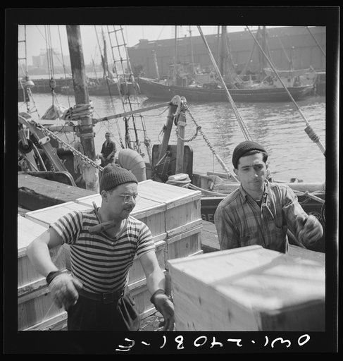 Untitled photo, possibly related to: New York, New York. Loaders placing fish that has been taken from boats, boxed, and iced, aboard trailer trucks to be taken to various distribution points