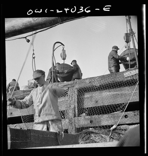 Untitled photo, possibly related to: New York, New York. Dock stevedores at the Fulton fish market sending up baskets of fish from the holds of the boats to the docks where it is bought, stored in barrels and packed in ice for delivery to wholesalers