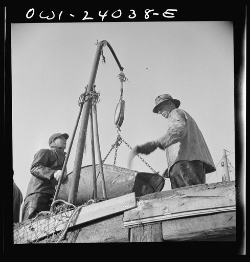 Untitled photo, possibly related to: New York, New York. Dock stevedores at the Fulton fish market sending up baskets of fish from the holds of the boats to the docks where it is bought, stored in barrels and packed in ice for delivery to wholesalers