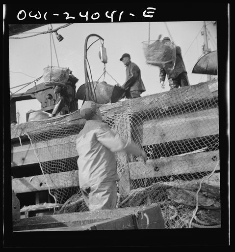 Untitled photo, possibly related to: New York, New York. Dock stevedores at the Fulton fish market sending up baskets of fish from the holds of the boats to the docks where it is bought, stored in barrels and packed in ice for delivery to wholesalers