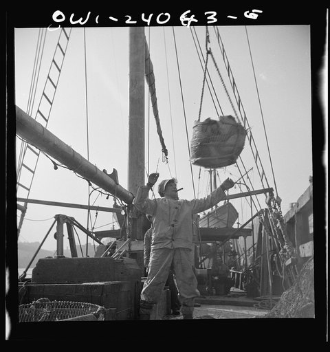 New York, New York. Dock stevedores at the Fulton fish market sending up baskets of fish from the holds of the boats to the docks where it is bought, stored in barrels and packed in ice for delivery to wholesalers