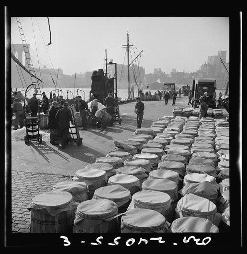 New York, New York. Barrels of fish caught off the New England coast waiting to be shipped to retailers and wholesalers