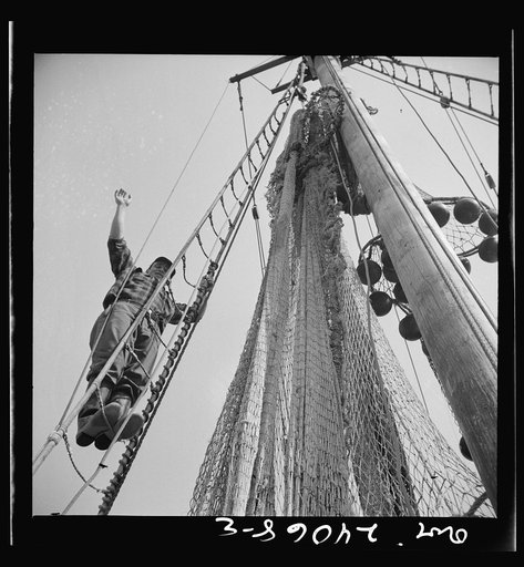 New York, New York. Gloucester fisherman standing in the rigging of a New England fishing boat