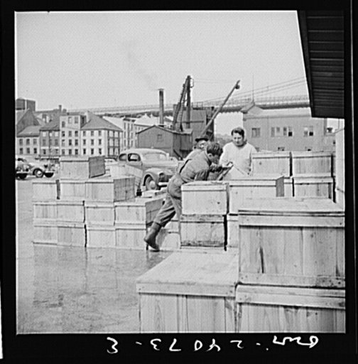 New York, New York. Crates of seafood waiting for delivery at Fulton fish market