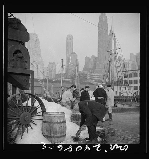 New York, New York. Icing barrels of fish at the Fulton fish market