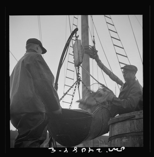 Untitled photo, possibly related to: New York, New York. New England fishermen unloading fish at the Fulton fish market