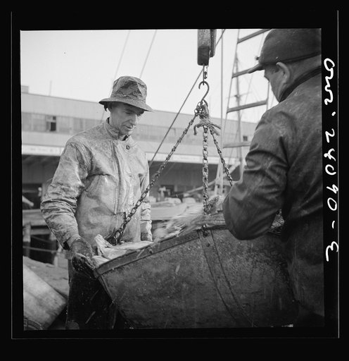Untitled photo, possibly related to: New York, New York. New England fishermen unloading fish at the Fulton fish market