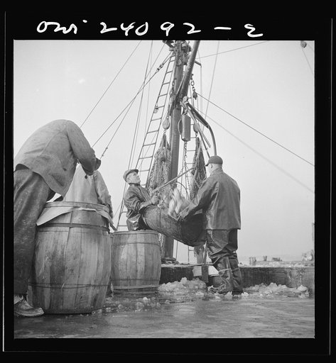Untitled photo, possibly related to: New York, New York. New England fishermen unloading fish at the Fulton fish market