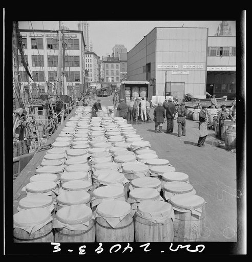 New York, New York. Barrels of fish on the docks at Fulton fish market ready to be shipped to retailers