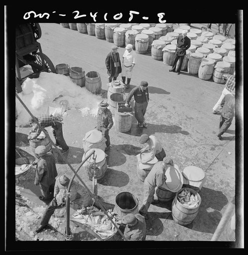 Untitled photo, possibly related to: New York, New York. Fulton fish market dock stevedores unloading and weighing fish in the early morning