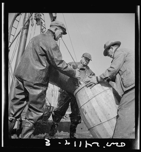New York, New York. Filling a barrel with codfish at the Fulton fish market