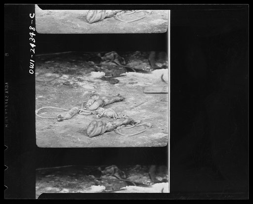 Wasted in the hasty, slovenly black marketer's makeshift abattoir are parts that might make valuable surgical and medicinal supplies for U.S. soldiers: sutures for sewing up incisions, adrenalin and insulin, as well as gelatin for military photographic film