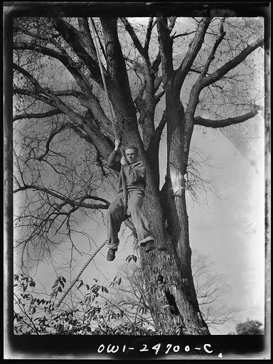 Untitled photo, possibly related to: Flushing High School, Queens, New York. A high school boy climbing a rope during a "commando" course