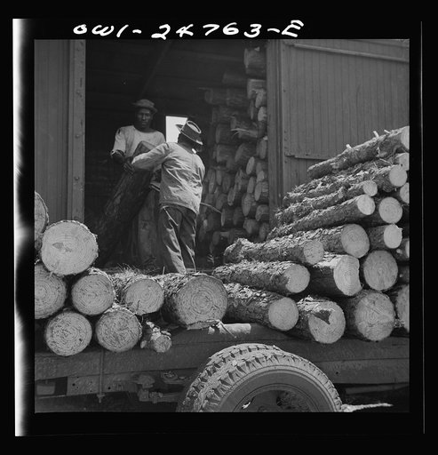 San Augustine, Texas. Loading pulp wood into a freight car