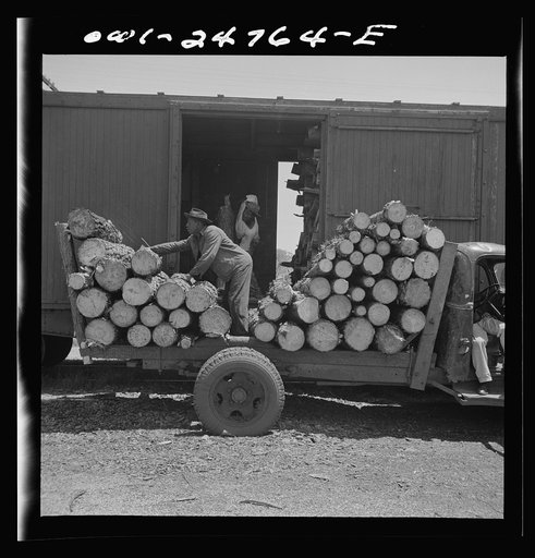 Untitled photo, possibly related to: San Augustine, Texas. Loading pulp wood into a freight car