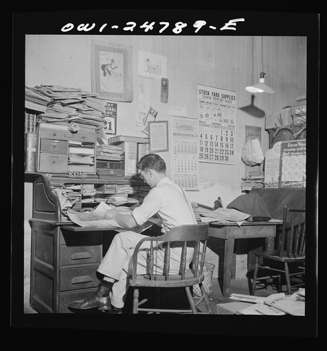 Untitled photo, possibly related to: San Augustine, Texas. Harlan [i.e. Arlan] Hayes, son of the editor, reading proofs for weekly edition of the San Augustine Tribune