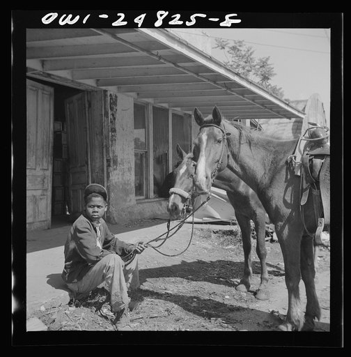 Untitled photo, possibly related to: San Augustine, Texas. Colored boy holding a horse for a cattle buyer at the auction