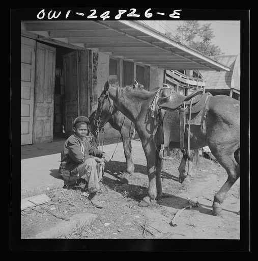 San Augustine, Texas. Colored boy holding a horse for a cattle buyer at the auction