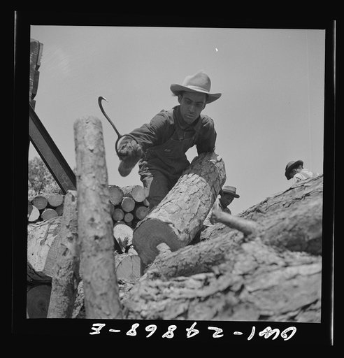 Nacogdoches County, Texas. Loading pulpwood from a truck to a flat car