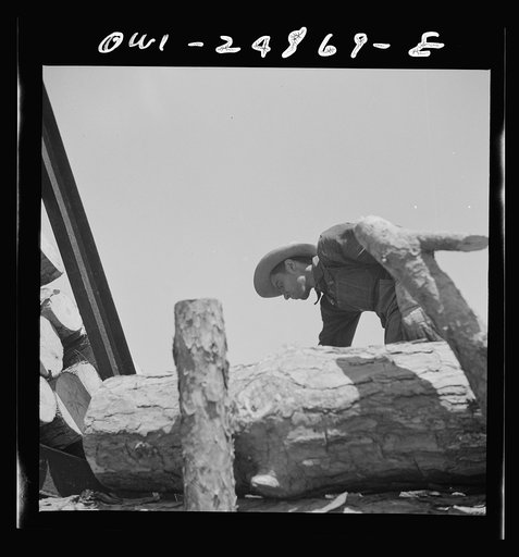 Untitled photo, possibly related to: Nacogdoches County, Texas. Loading pulpwood from a truck to a flat car