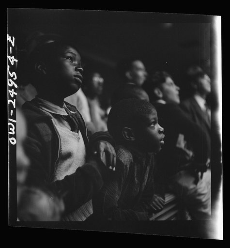 Washington, D.C. Children enjoying the National Zoological Park animals