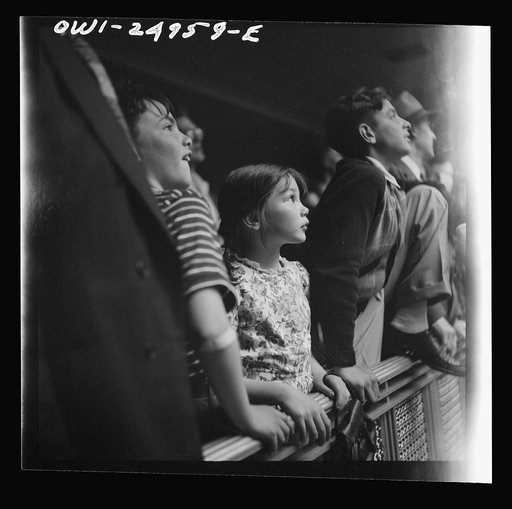 Washington, D.C. Children watching the animals at the National Zoological Park