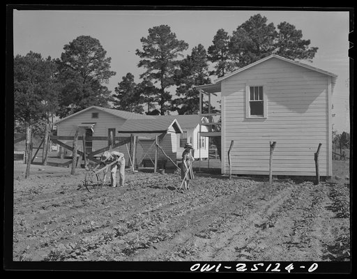 San Augustine, Texas. Jim Halberd [i.e., Halbert], the sheriff, with his wife working in their garden