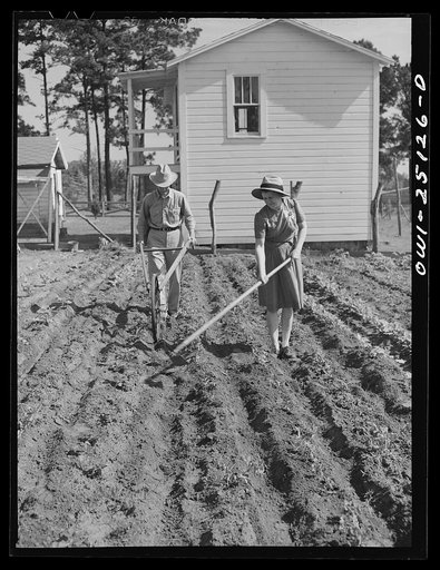 Untitled photo, possibly related to: San Augustine, Texas. Jim Halberd [i.e., Halbert], the sheriff, with his wife working in their garden